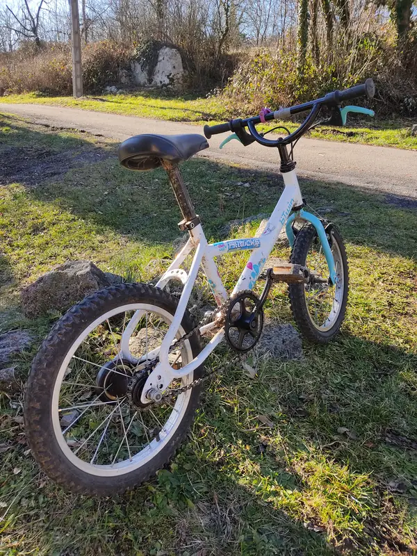 Vélo enfant remis en état